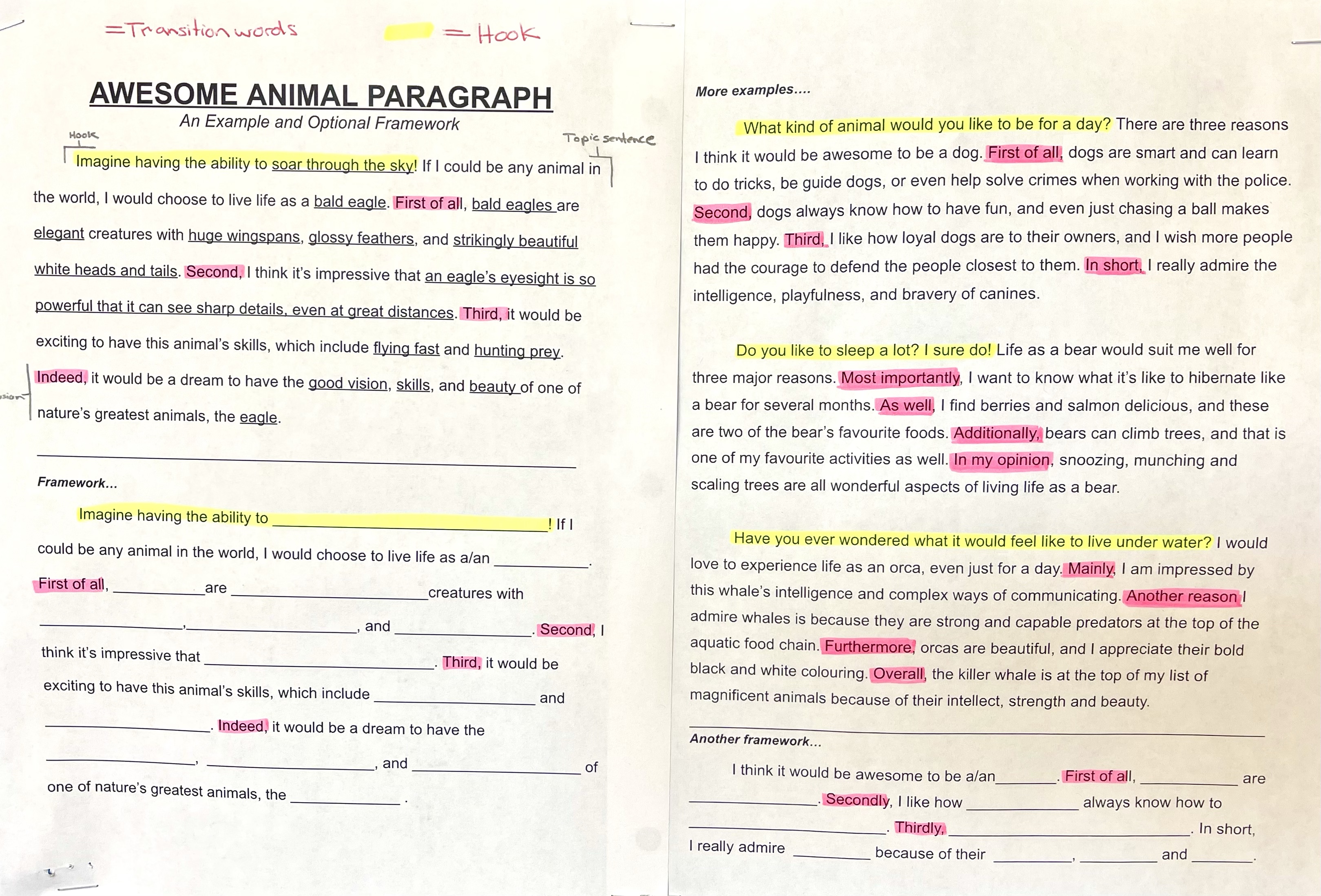 Writer’s Workshop: Animal Paragraphs – Inquiry Ninja